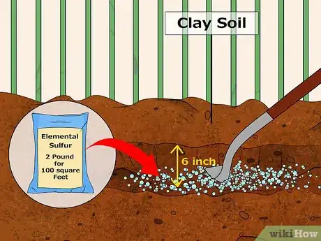 Step 3 给非常紧实或含有大量粘土的土壤添加元素硫。