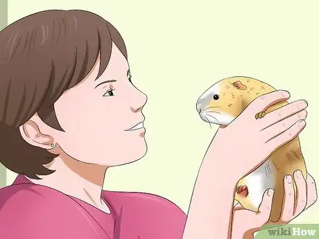 Step 1 重视它的陪伴。