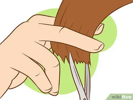 Step 3 每次修剪大约5厘米宽度的头发。