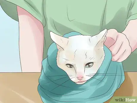 Step 1 把猫包起来。