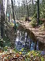 Overgrown Örtze canal between Müden and Hermannsburg