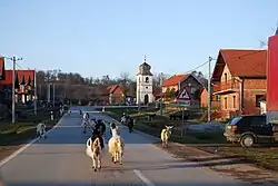 Street in the village