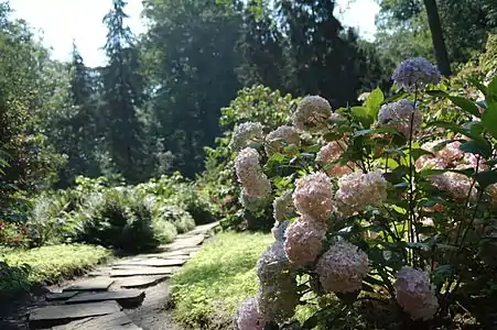 Path in the Garden