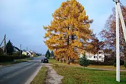 Street in Šlienava