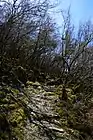 Landscape in Vikos–Aoös National Park.