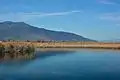 The lagoon of the wetland