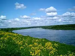 View of the Oka, Yasnogorsky District