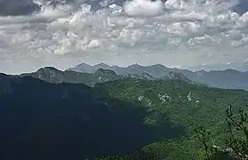 View from the tower