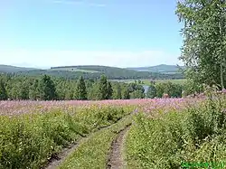 Landscape in Partizansky District