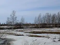 Landscape of Smidovichsky District, with the settlement of Volochayevka-2 visible on the horizon