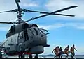 A Ka-27 helicopter landing aboard Irtysh with its crew bringing a patient inside the ship on 13 January 2017