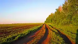 Road along edge of field, Pervomaysky District