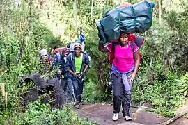 Porter on Mount Kilimanjaro