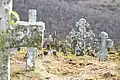 There are several types of crosses on the Cossack cemetery