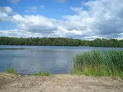 Lake Svyatoye, a protected area of Russia in Zhukovsky District