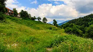 View of Beličica village from nearby church