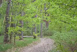 Karizhsky reserve, Glushkovsky District