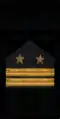 знак мпс 1973