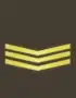 нз 1969