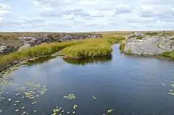 Shiryaev Creek, Kartalinsky District