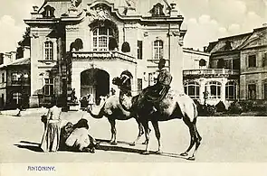 Camels at the palace