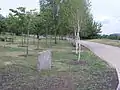 Alley of soldiers' widows