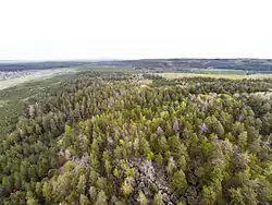 Racheyskiye Rocks, a protected area of Russia in Syzransky District