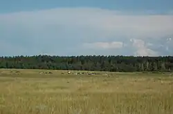 A salt lake near the selo of Svetloye in Zavyalovsky District