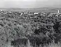 Alonim, 1945