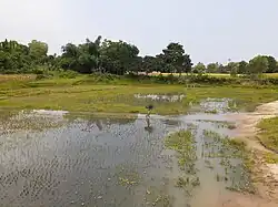 Fields in Singra National Park