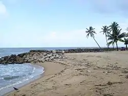 Perinjanam beach