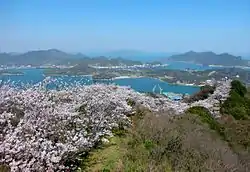 Iwagi Island from Mt. Sekizen summit (370m)