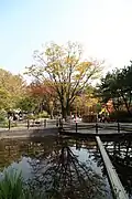 Children playing in the park (2014)