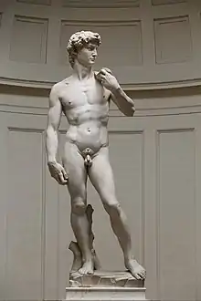 David, by Michelangelo, 1501–1504. The shoulders of the figure are seen to angle in one direction, the pelvis in another.