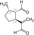 (1S,2S,5S)-(+)-Anisomorphal (B)