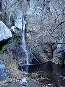 The first glimpse of the lower falls from the trail. Note the ferns.