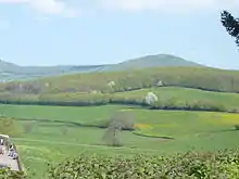 a landscape with fields and woods