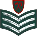 Staff sergeant(Gambian National Army)