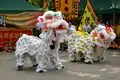 Lion dance