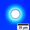 Circular hole formed in a 100 nm thick film of polystyrene. The blue color of the film is due to Structural coloration and depends on the film's thickness.