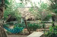 Hut at the Jangjangbureh Camp