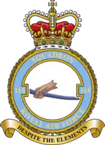 Squadron badge