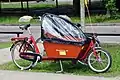 Cargo bike for transporting children in Eindhoven, Netherlands