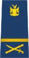 A Namibian Air Force air commodore's rank insignia.