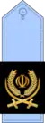 Islamic Republic of Iran Air Force insignia