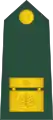 Brigadir(Slovenian Ground Force)