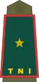 Brigadier General