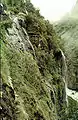 1961. Sinjarheimsgalden. The new path is blasted into the rock face in the upper left corner. The path has been destroyed several times by rockslides.