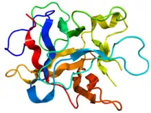 Trypsin inhibitor isolated from the seeds of Erythrina caffra