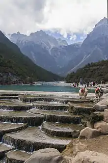 Yak and cascading pools with the mountain in the background